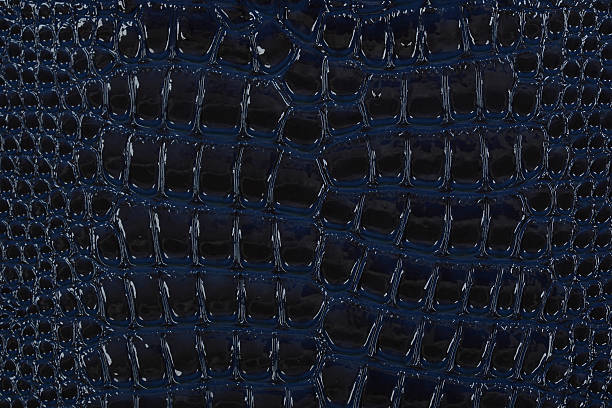 istock Reptile Close Up In Blue 187304121
