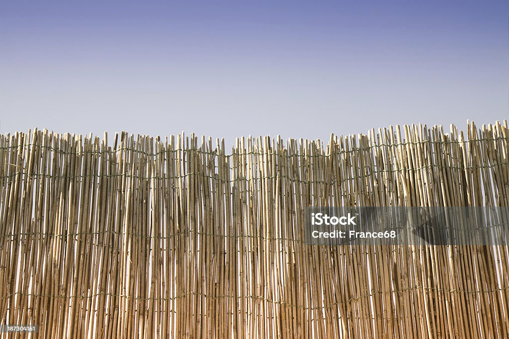Privacidad - Foto de stock de Bambú - Familia de la Hierba libre de derechos