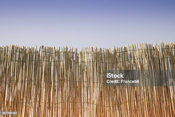 Privacidad Foto de stock y más banco de imágenes de Bambú - Familia de la Hierba - Bambú - Familia de la Hierba, Valla - Límite, Aire libre