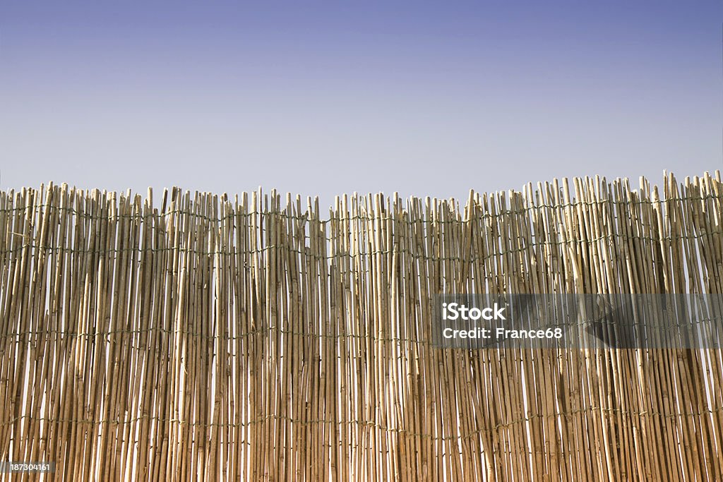 Privacidade - Royalty-free Bambu - Família da relva Foto de stock