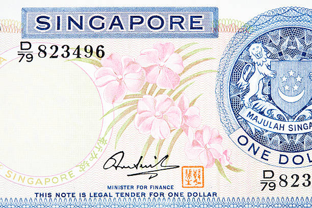istock Janet Kaneali Orchid on Banknote 187304247