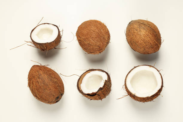 istock Composition for summer concept with coconut on white background 1873044780