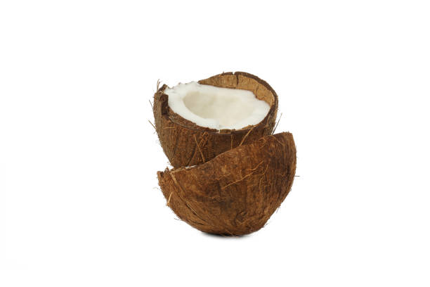 istock PNG, Coconut isolated on white background, summer concept 1873045805
