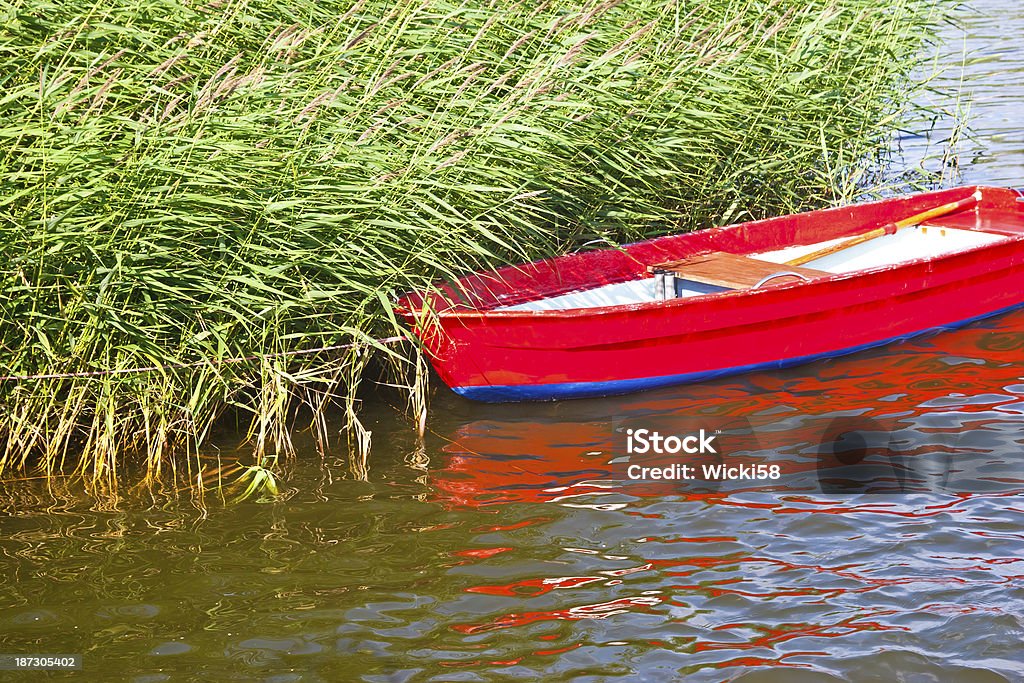 Barca in reeds - Foto stock royalty-free di Acqua