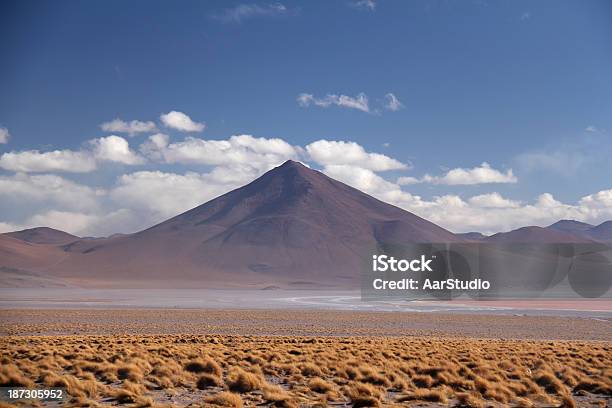 Sal Desierto De Uyuni En Bolivia Foto de stock y más banco de imágenes de Aire libre - Aire libre, Aislado, Altiplano andino