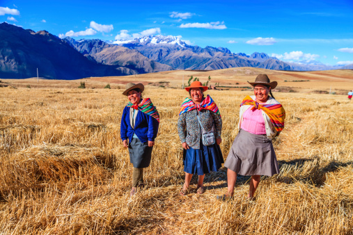 Peruvian women in national clothing crossing field, The Sacred Valley