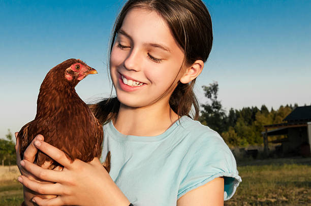 istock Girl Holding Hen 187306210