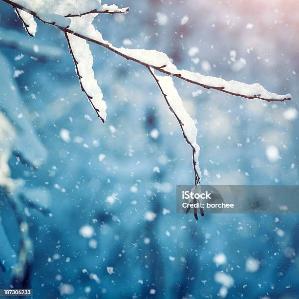 Schneemenge Stockfoto und mehr Bilder von Abenddämmerung - Abenddämmerung, Ast - Pflanzenbestandteil, Baum