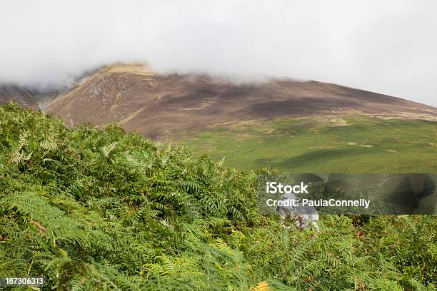 Photo libre de droit de Mouton De Herdwick Sur Skiddaw Dans Le Lake District banque d'images et plus d'images libres de droit de Angleterre