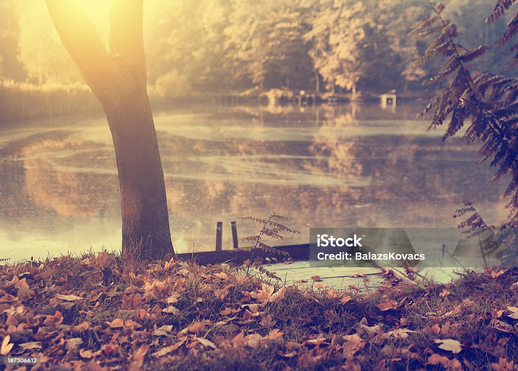 Autumn scene Autumn Stock Photo