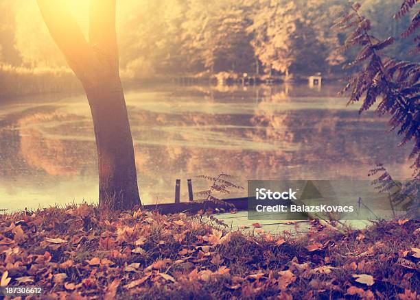 Autumn Scene Stock Photo - Download Image Now - Autumn, Backgrounds, Beach