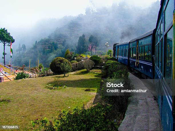 Zug Vorbei An Einer Garten Und Eingabe Nebel Stockfoto und mehr Bilder von Darjeeling - Darjeeling, Eisenbahn, Indien