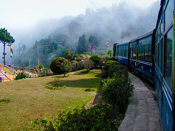 pociąg, przechodzącej na ogród i wprowadzanie mgły - darjeeling zdjęcia i obrazy z banku zdjęć