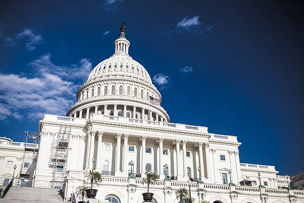 istock Capitol Hill Building in Washington D.C. 187307505