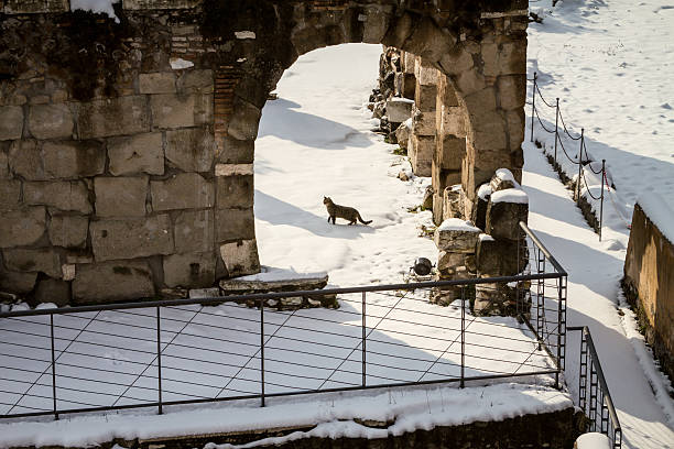 The Roman Forum after a snow storm in Rome.