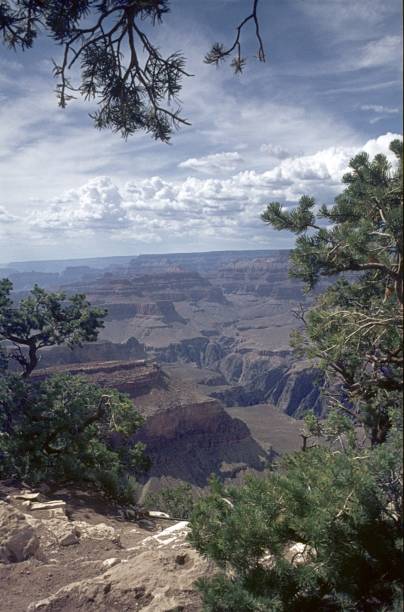 istock The Grand Canyon in Arizona 1873082437