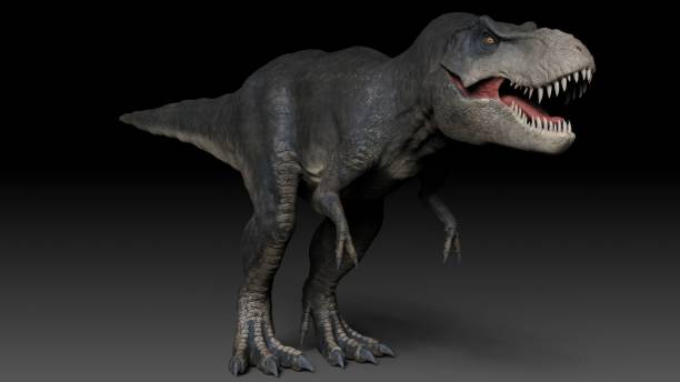 istock Tyrannosaurus Rex Stan render of background. 3d rendering 1873083484