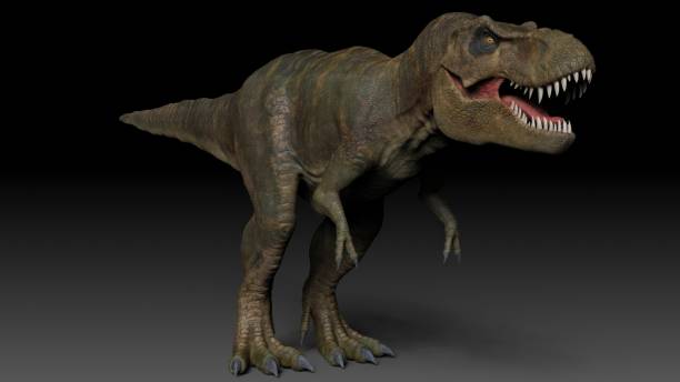 Tyrannosaurus Rex Stan render of background. 3d rendering stock photo