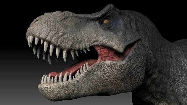 istock Tyrannosaurus Rex Stan render of background. 3d rendering 1873084006