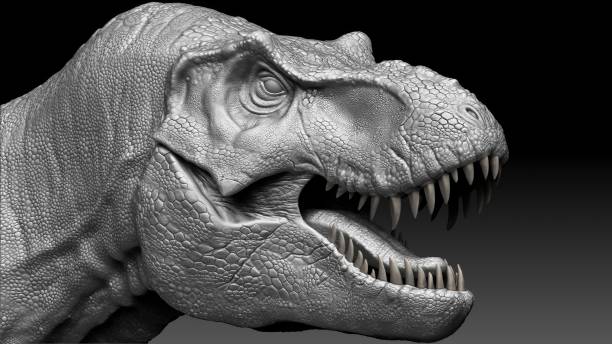 istock Tyrannosaurus Rex Stan render of background. 3d rendering 1873084013