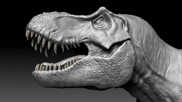 istock Tyrannosaurus Rex Stan render of background. 3d rendering 1873084022