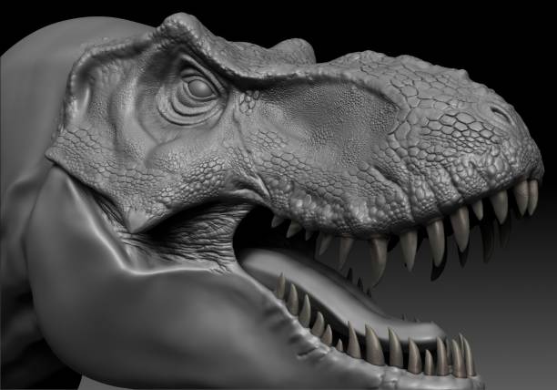 istock Tyrannosaurus Rex Stan render of background. 3d rendering 1873084546