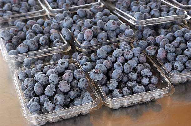 istock Ripe Organic Blueberries in Containers 187309048