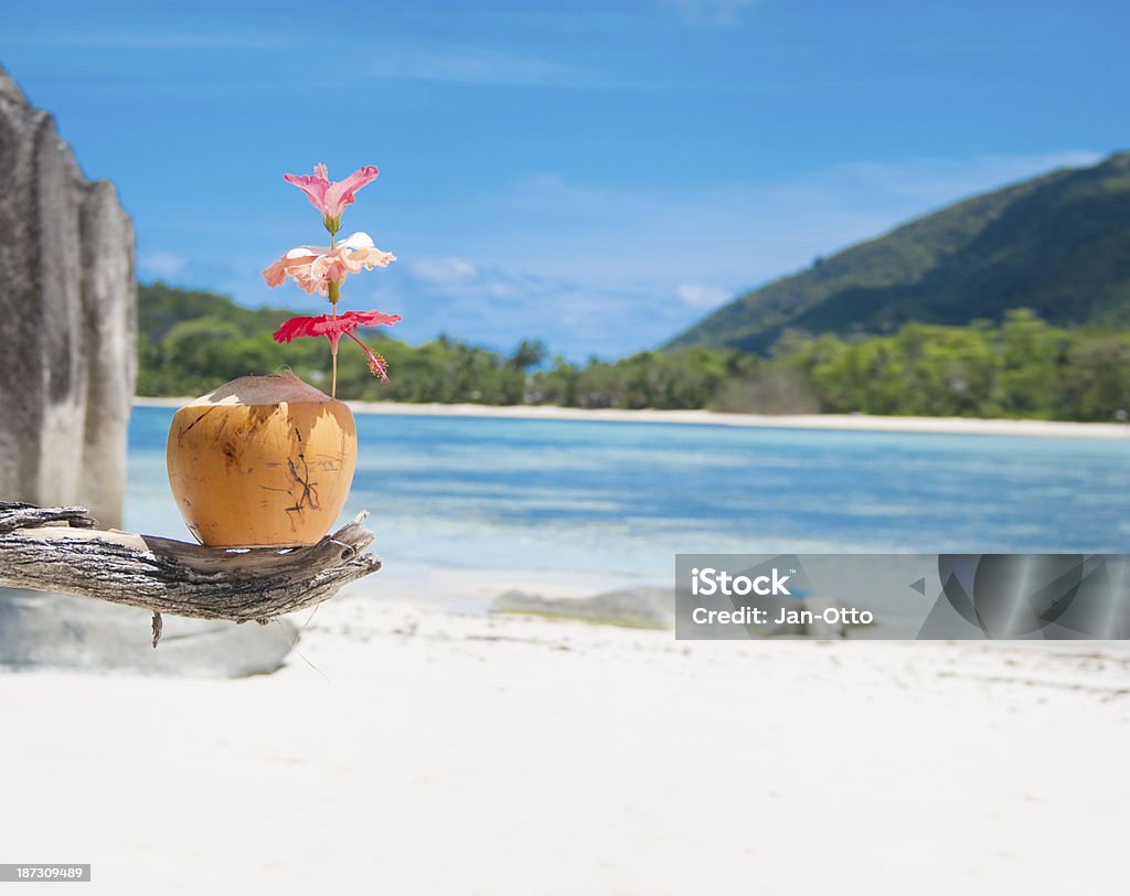 Cóctel en Seychelles - Foto de stock de Agua libre de derechos