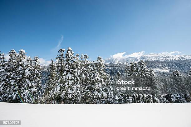 Foto de Paisagem Do Inverno Com Neve E Árvores e mais fotos de stock de Ajardinado - Ajardinado, Alpes europeus, Azul