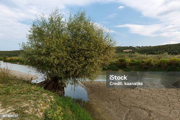 Foto de Rio Seca e mais fotos de stock de Agricultura - Agricultura, Arbusto, Clima árido