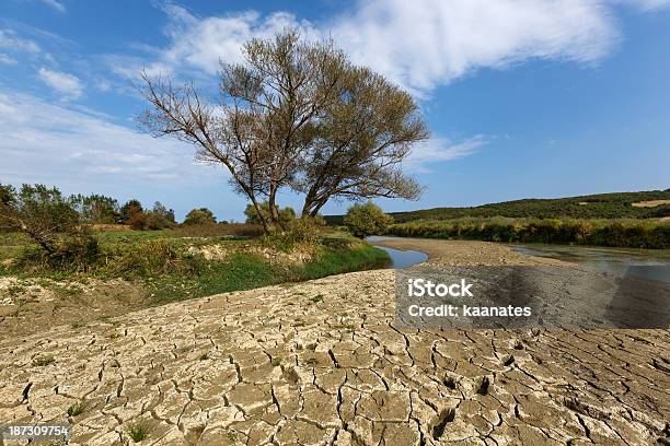 Foto de Rio Seca e mais fotos de stock de Agricultura - Agricultura, Arbusto, Clima árido