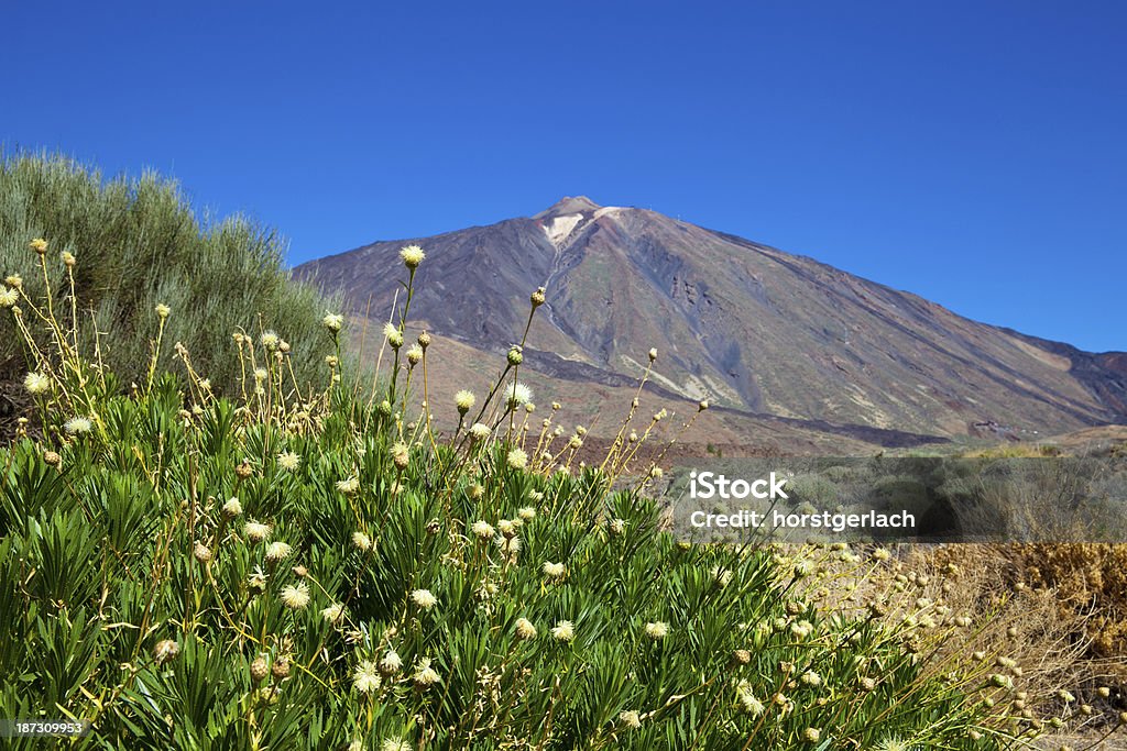 Teide, Tenerife, Espanha - Foto de stock de Ausência royalty-free