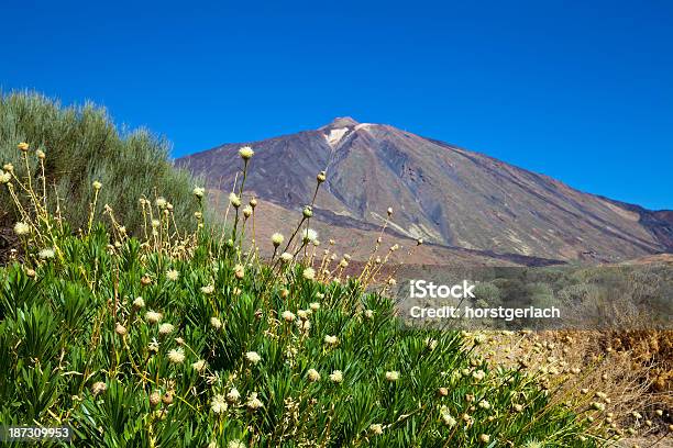 Foto de Teide Tenerife Espanha e mais fotos de stock de Ausência - Ausência, Azul, Bege