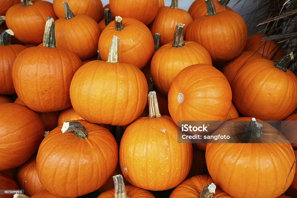 Pila di pumpkins close-up - Foto stock royalty-free di Abbondanza