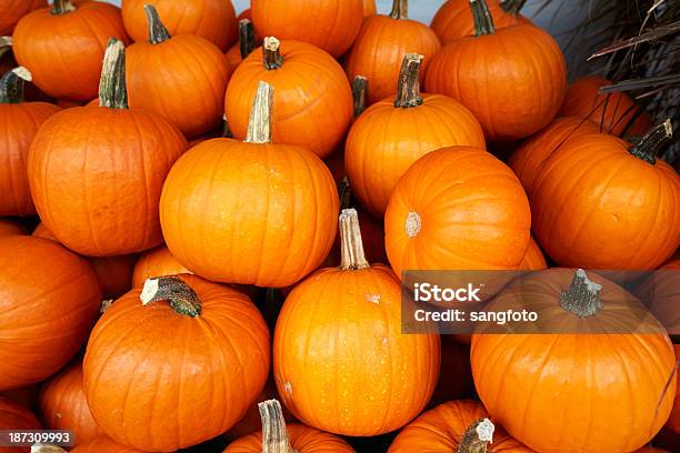 Pila Di Pumpkins Closeup - Fotografie stock e altre immagini di Abbondanza - Abbondanza, Arancione, Autunno