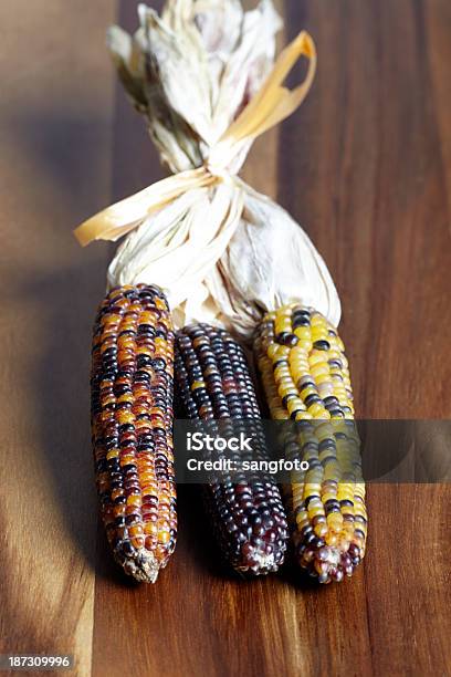Осенний Corns — стоковые фотографии и другие картинки Без людей - Без людей, Вариация, Вертикальный