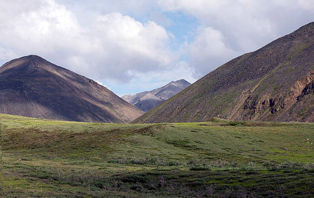 brooks montañas de alaska - brooks range fotografías e imágenes de stock