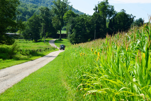 Corn field, dirt road, tractor in background, hills and green vegetation equals a countryside scene
