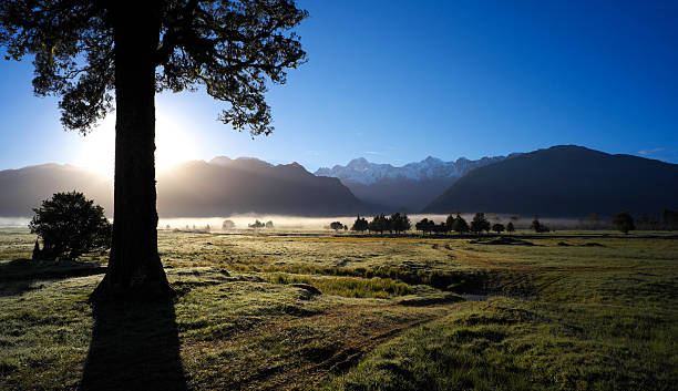istock New Zealand Scenic At Dawn 187310646