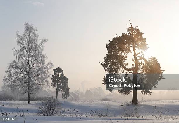 Photo libre de droit de Matin Dhiver banque d'images et plus d'images libres de droit de Arbre - Arbre, Blanc, Brouillard