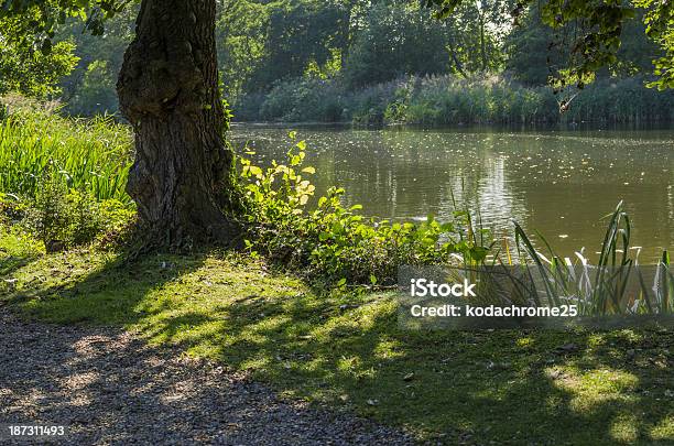 Lake Stock Photo - Download Image Now - Beauty In Nature, Dappled Light, England