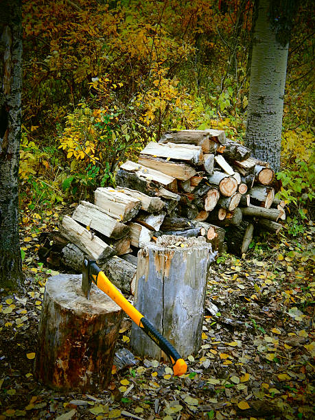 A small stack of firewood with yellow leaves and axe. Image made to look like it was taken with an old film camera.