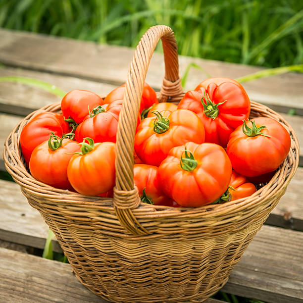 istock Tomatoes in Woven Basket 187312187