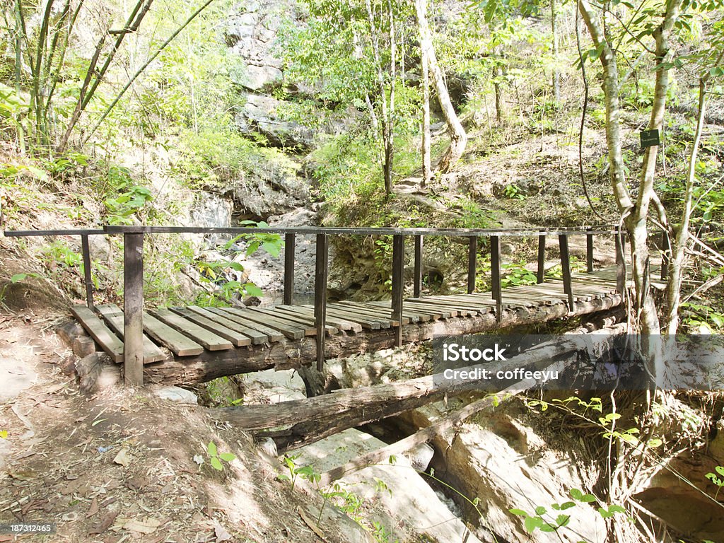 Puente en el bosque - Foto de stock de Aire libre libre de derechos