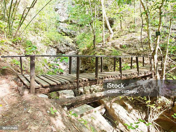 Puente En El Bosque Foto de stock y más banco de imágenes de Aire libre - Aire libre, Aventura, Boscaje