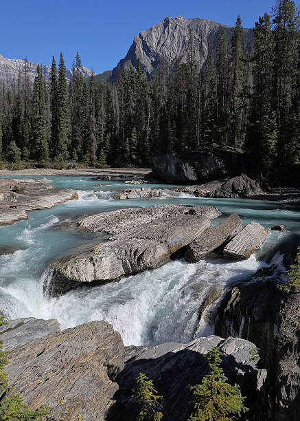 istock Natural Bridge,  spanning Kicking Horse River Yoho National Park, Canada 187314347