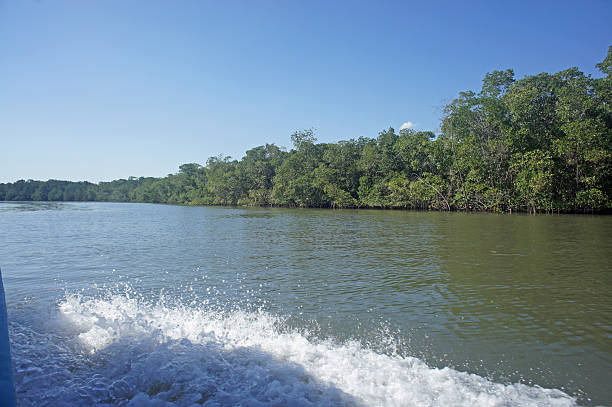 istock wonderful costa rica 187315095
