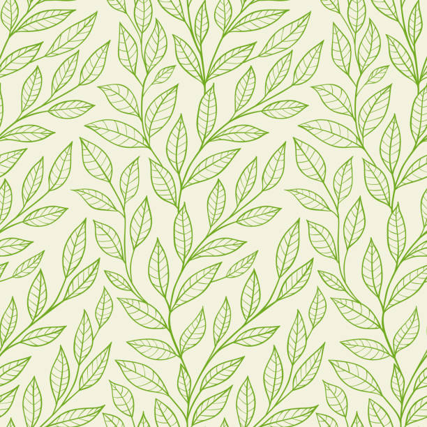 illustrazioni stock, clip art, cartoni animati e icone di tendenza di seamless pattern di foglie verdi - motivo naturale