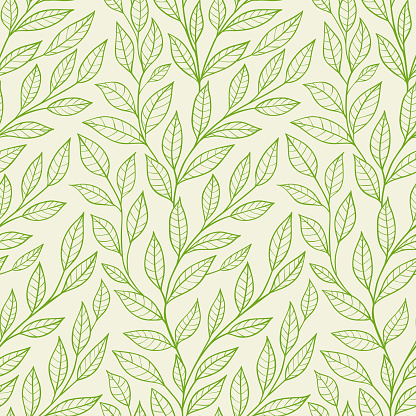Vector seamless pattern with green leaves