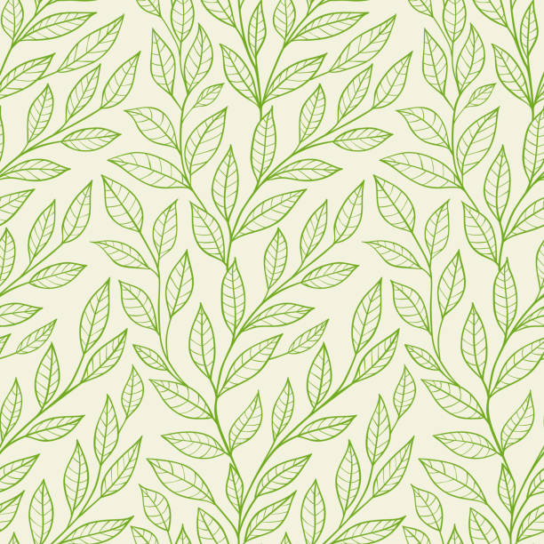 seamless pattern with green leaves Vector seamless pattern with green leaves natural pattern stock illustrations